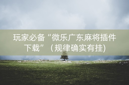 玩家必备“微乐广东麻将插件下载”（规律确实有挂)