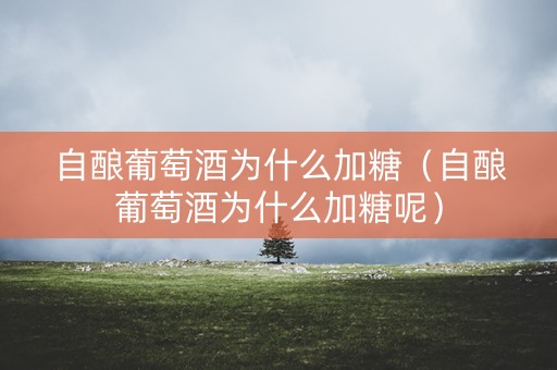 自酿葡萄酒为什么加糖（自酿葡萄酒为什么加糖呢）