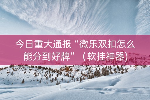 今日重大通报“微乐双扣怎么能分到好牌”（软挂神器)