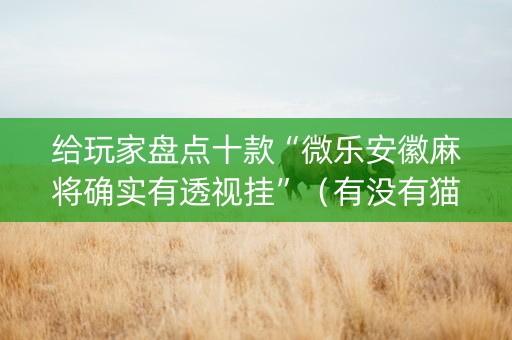 给玩家盘点十款“微乐安徽麻将确实有透视挂”（有没有猫腻)