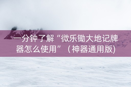 一分钟了解“微乐锄大地记牌器怎么使用”（神器通用版)