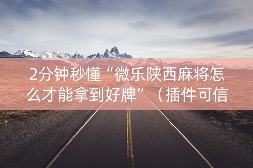 2分钟秒懂“微乐陕西麻将怎么才能拿到好牌”（插件可信吗)