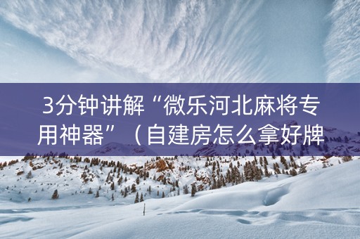 3分钟讲解“微乐河北麻将专用神器”（自建房怎么拿好牌)