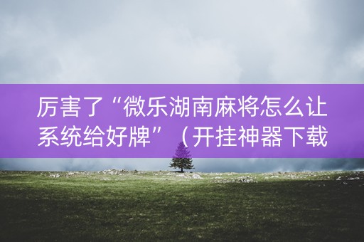 厉害了“微乐湖南麻将怎么让系统给好牌”（开挂神器下载)