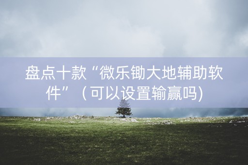 盘点十款“微乐锄大地辅助软件”（可以设置输赢吗)