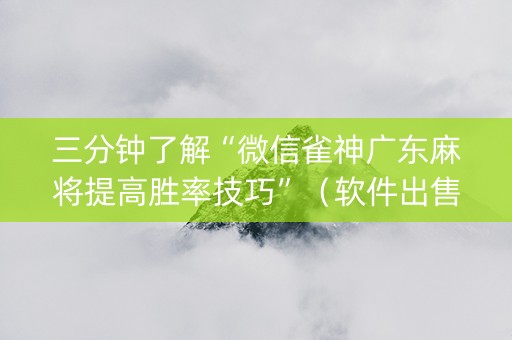 三分钟了解“微信雀神广东麻将提高胜率技巧”（软件出售)