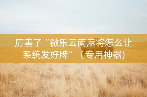 厉害了“微乐云南麻将怎么让系统发好牌”（专用神器)
