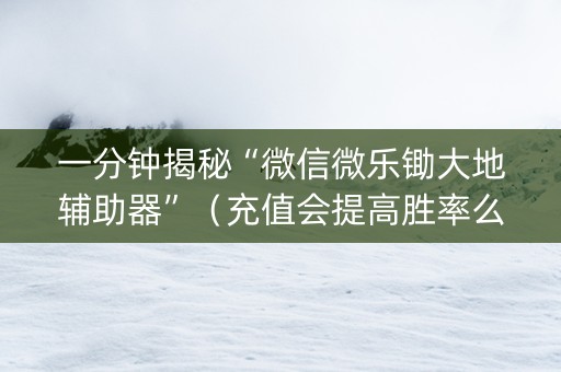 一分钟揭秘“微信微乐锄大地辅助器”（充值会提高胜率么)
