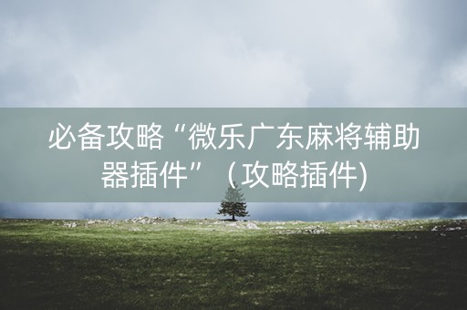 必备攻略“微乐广东麻将辅助器插件”（攻略插件)