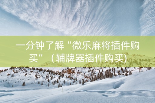 一分钟了解“微乐麻将插件购买”（辅牌器插件购买)