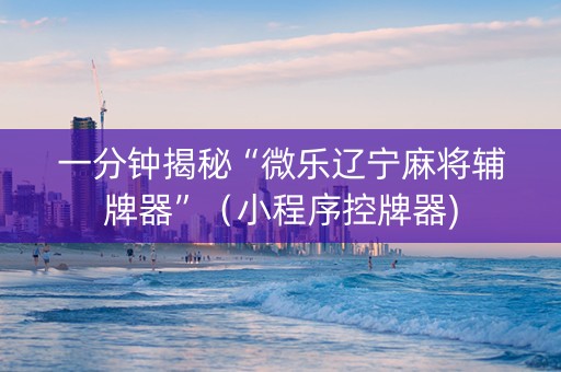 一分钟揭秘“微乐辽宁麻将辅牌器”（小程序控牌器)