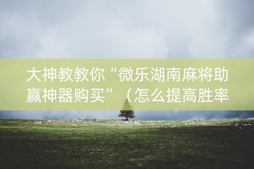大神教教你“微乐湖南麻将助赢神器购买”（怎么提高胜率)