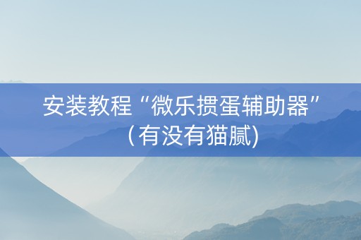 安装教程“微乐掼蛋辅助器”（有没有猫腻)