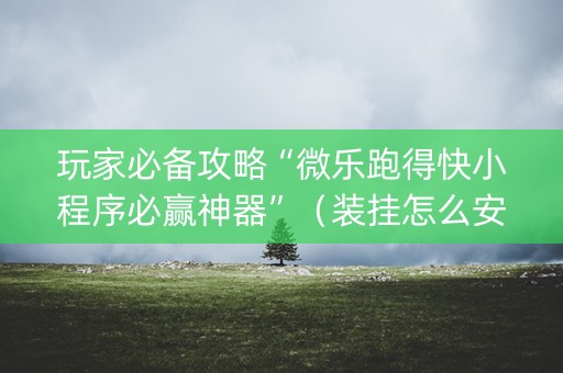 玩家必备攻略“微乐跑得快小程序必赢神器”（装挂怎么安装)