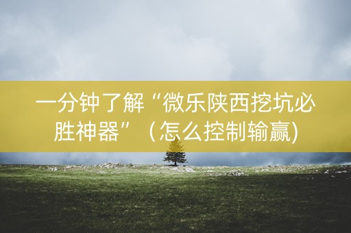 一分钟了解“微乐陕西挖坑必胜神器”（怎么控制输赢)
