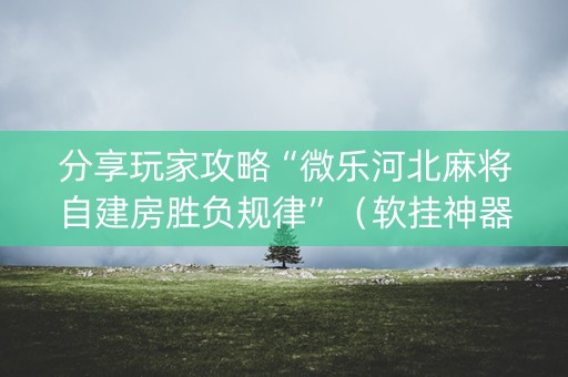 分享玩家攻略“微乐河北麻将自建房胜负规律”（软挂神器)