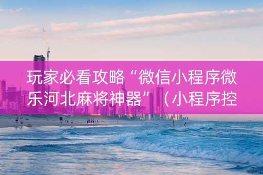 玩家必看攻略“微信小程序微乐河北麻将神器”（小程序控牌器)