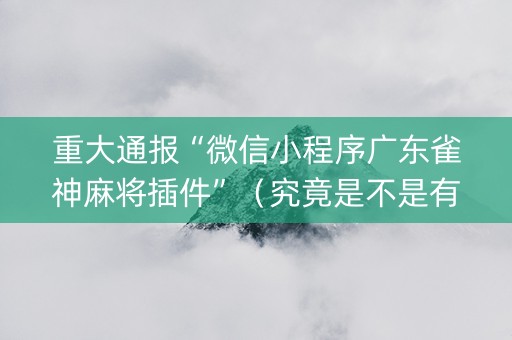重大通报“微信小程序广东雀神麻将插件”（究竟是不是有挂)