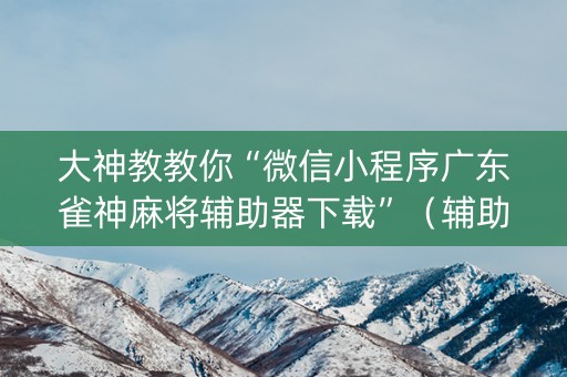 大神教教你“微信小程序广东雀神麻将辅助器下载”（辅助器下载)