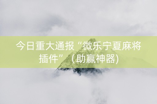 今日重大通报“微乐宁夏麻将插件”（助赢神器)