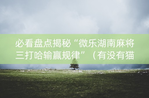 必看盘点揭秘“微乐湖南麻将三打哈输赢规律”（有没有猫腻)