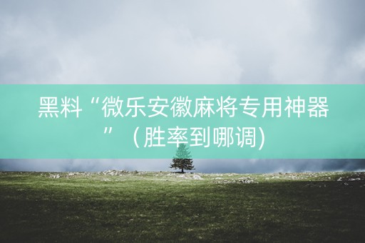 黑料“微乐安徽麻将专用神器”（胜率到哪调)