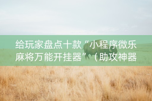 给玩家盘点十款“小程序微乐麻将万能开挂器”（助攻神器)