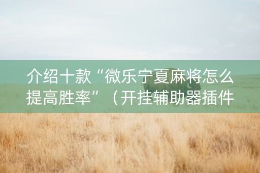 介绍十款“微乐宁夏麻将怎么提高胜率”（开挂辅助器插件)