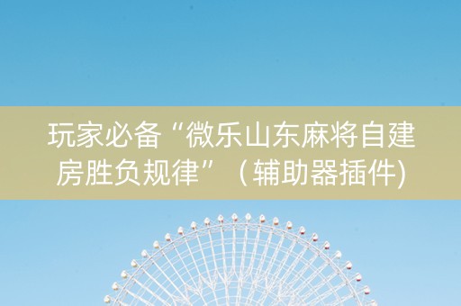 玩家必备“微乐山东麻将自建房胜负规律”（辅助器插件)