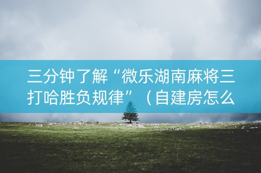 三分钟了解“微乐湖南麻将三打哈胜负规律”（自建房怎么赢)
