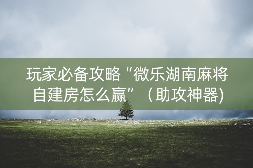玩家必备攻略“微乐湖南麻将自建房怎么赢”（助攻神器)