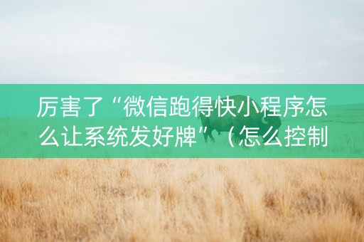 厉害了“微信跑得快小程序怎么让系统发好牌”（怎么控制输赢)