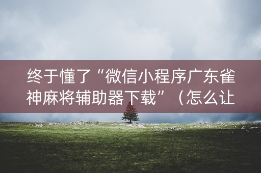 终于懂了“微信小程序广东雀神麻将辅助器下载”（怎么让系统给你发好牌)