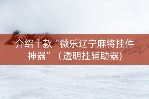 介绍十款“微乐辽宁麻将挂件神器”（透明挂辅助器)