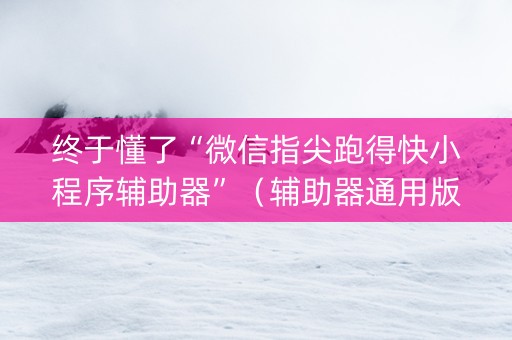 终于懂了“微信指尖跑得快小程序辅助器”（辅助器通用版)