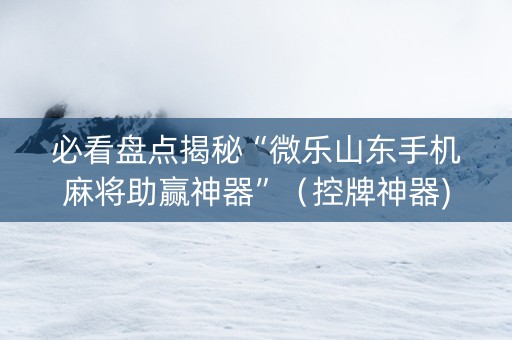必看盘点揭秘“微乐山东手机麻将助赢神器”（控牌神器)