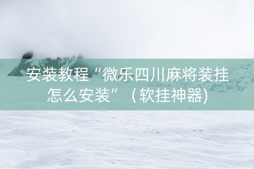 安装教程“微乐四川麻将装挂怎么安装”（软挂神器)