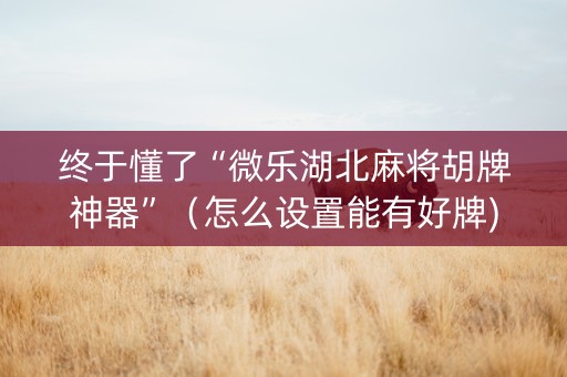终于懂了“微乐湖北麻将胡牌神器”（怎么设置能有好牌)