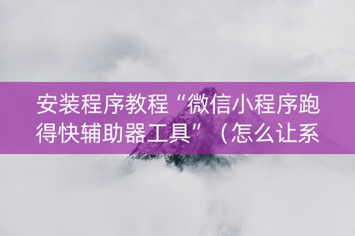 安装程序教程“微信小程序跑得快辅助器工具”（怎么让系统给自己好牌)