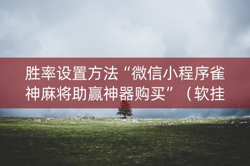 胜率设置方法“微信小程序雀神麻将助赢神器购买”（软挂神器)