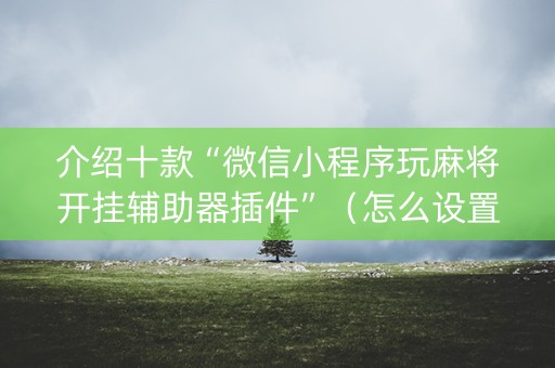 介绍十款“微信小程序玩麻将开挂辅助器插件”（怎么设置能有好牌)