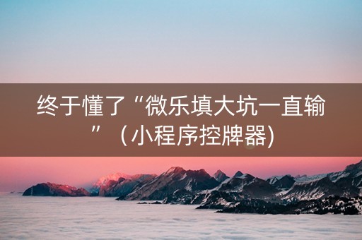 终于懂了“微乐填大坑一直输”（小程序控牌器)