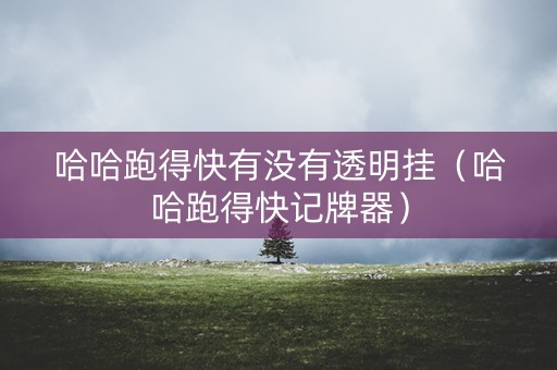 哈哈跑得快有没有透明挂（哈哈跑得快记牌器）