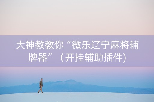 大神教教你“微乐辽宁麻将辅牌器”（开挂辅助插件)