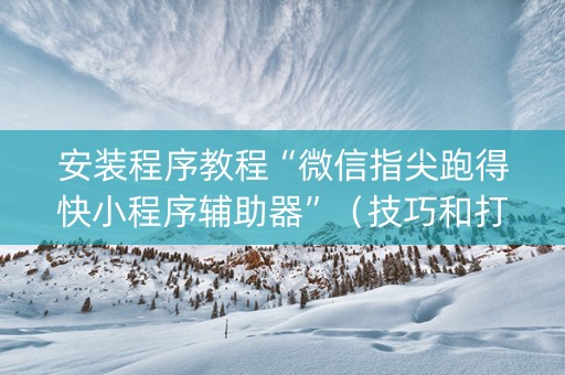 安装程序教程“微信指尖跑得快小程序辅助器”（技巧和打好牌方法)