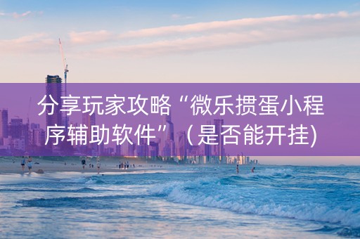 分享玩家攻略“微乐掼蛋小程序辅助软件”（是否能开挂)