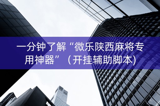 一分钟了解“微乐陕西麻将专用神器”（开挂辅助脚本)