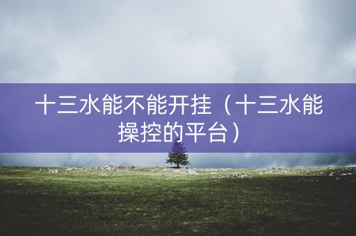 十三水能不能开挂（十三水能操控的平台）