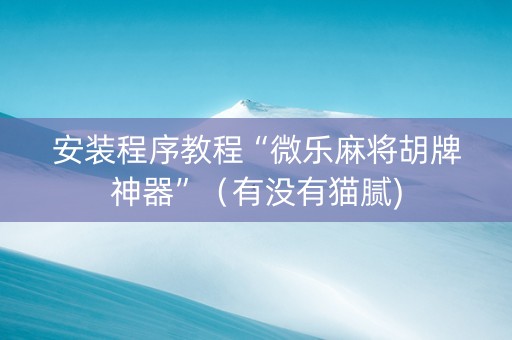 安装程序教程“微乐麻将胡牌神器”（有没有猫腻)