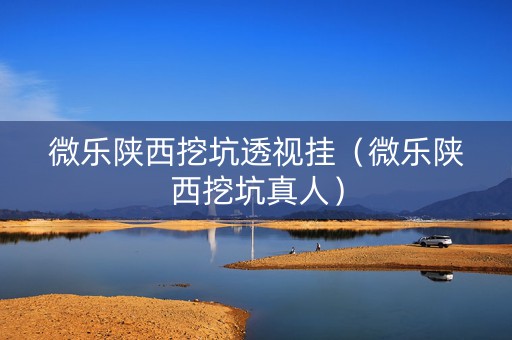 微乐陕西挖坑透视挂（微乐陕西挖坑真人）